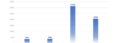 边缘车企的现状 | 新势力的再分化