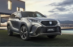 中国人保携手杭州元通丰田汽车购车嘉年华