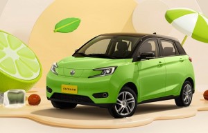 中国人保携手浙江宝诚东风风行线上化购车节