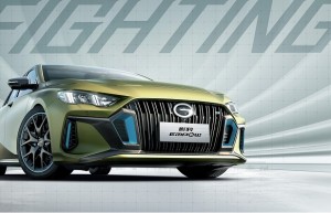 中国人保携手嘉善盛景汽车线上团购会