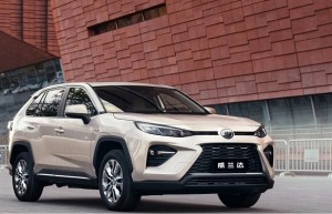 中国人保携手嘉兴市友佳汽车线上团购会