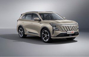 中国人保携手杭州雅尚汽车销售服务有限公司线上购车节