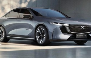 中国人保携手浙江裕菲汽车购车嘉年华