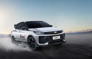 中国人保携手田合汽贸汽车购车嘉年华