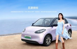 中国人保携手浙江宝菱汽车购车嘉年华