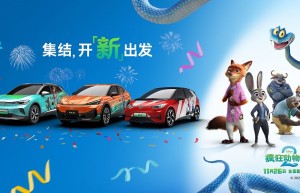 中国人保携手杭州旺达二手车汽车团购会