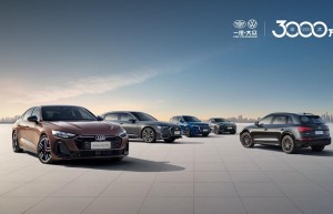 中国人保携手杭州桐庐凤奥汽车购车团购会