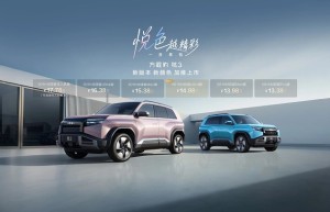 中国人保携手杭州丰澜汽车购车嘉年华