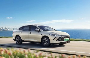 中国人保携手杭州比亚迪盛世新景汽车购车嘉年华